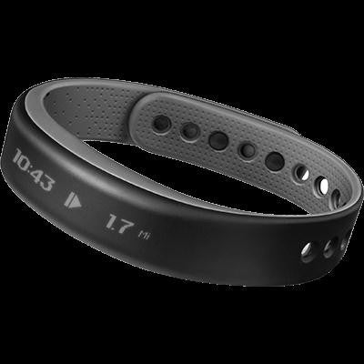 Fitness Band, VivoSmart, Large, Slate