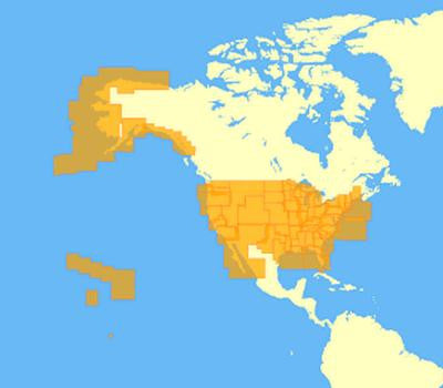 Navionics+ US Charts, SD card, Exis Cust